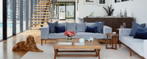 Living room with a dog, 2 couches, coffee table and stairs in background