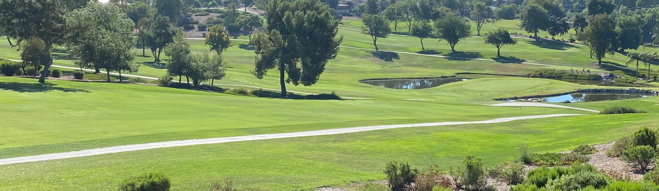 Golf course with trees and water features.