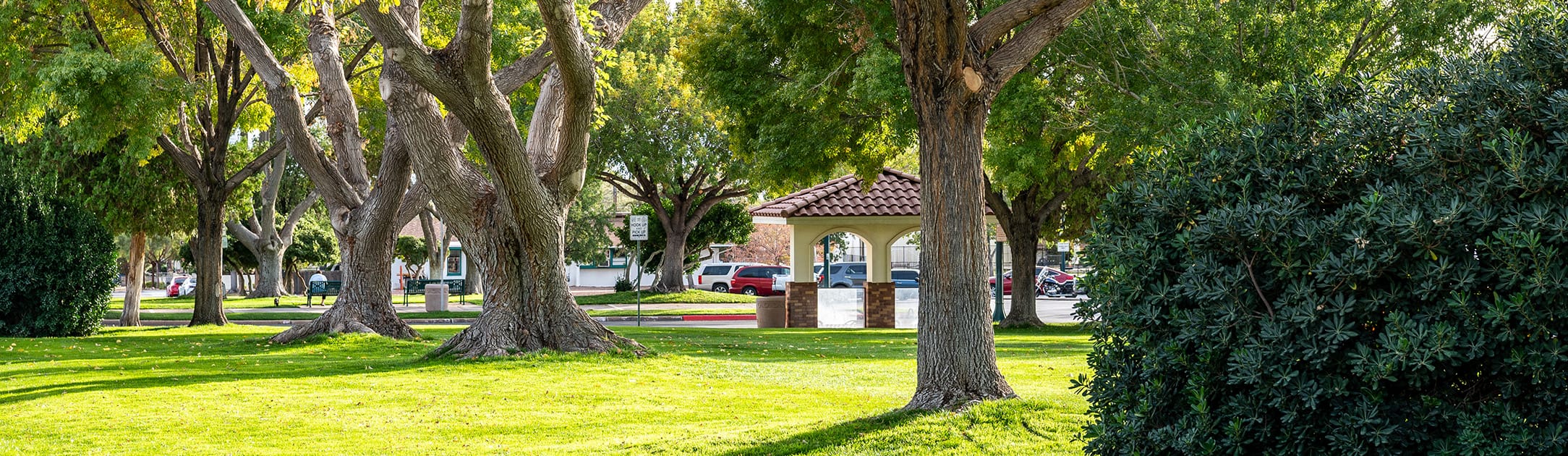 Park with trees, bushes and a gazebo.