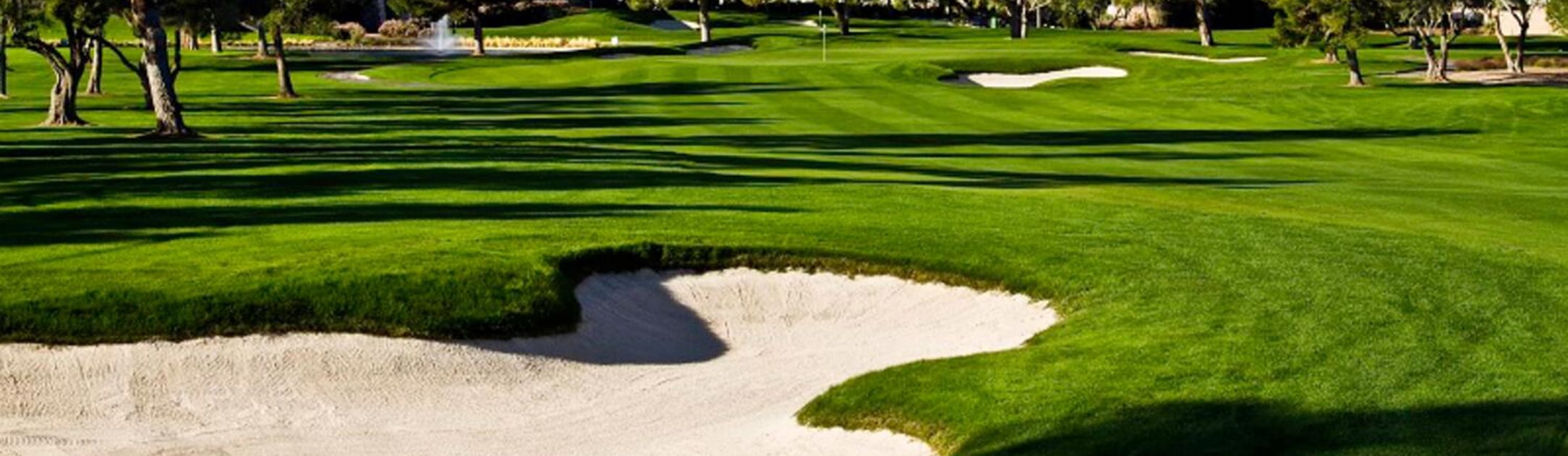 Golf course with sand traps and trees.