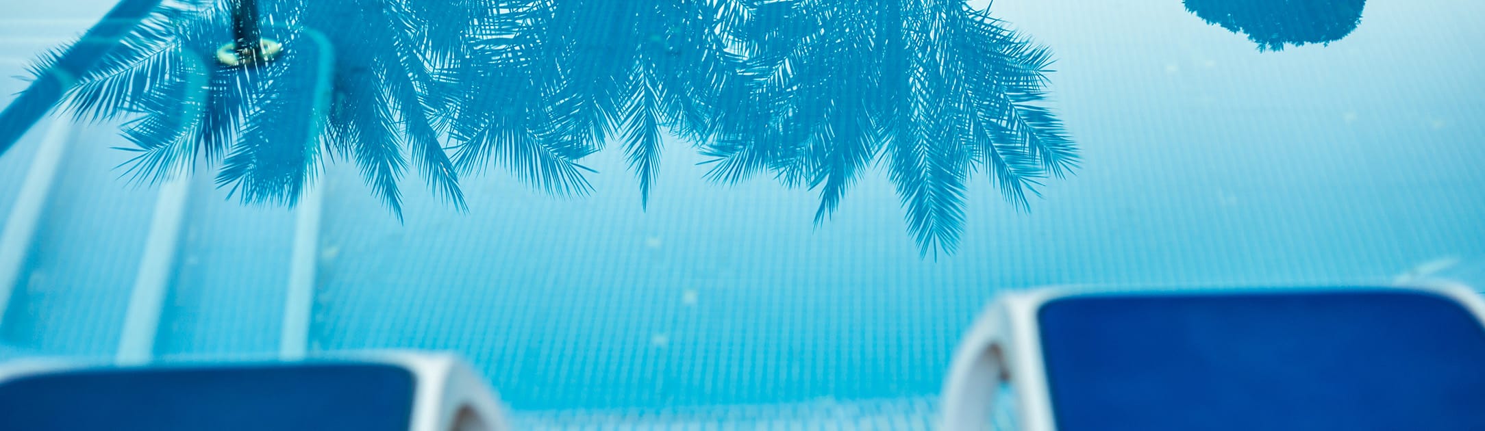 View from lounge chair of pool with a palm tree reflection.